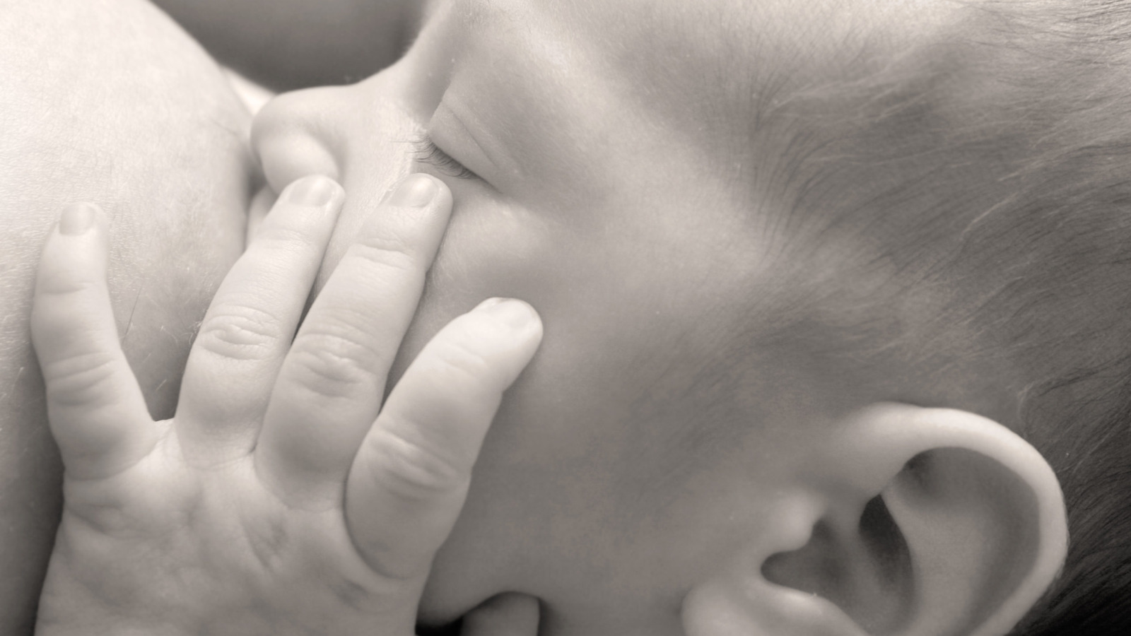 Newborn baby breast feeding
