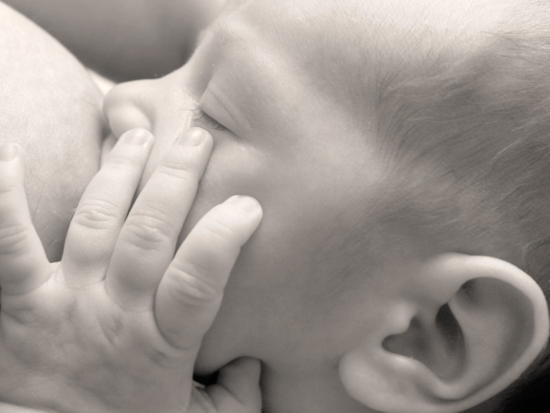 Newborn baby breast feeding
