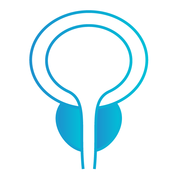This is a graphic of a normal prostate