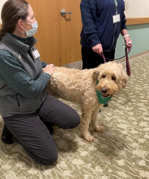 Volunteer Manager Katherine Winchester sitting with pet therapy dog Brynn