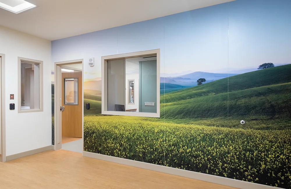 Emergency department mural