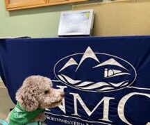 Charlie the Pet Therapy Dog sitting in front of table in Northwestern Medical Center
