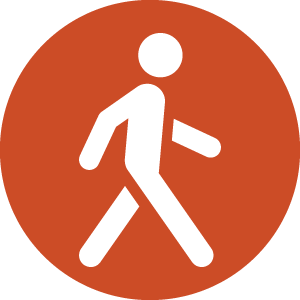 human icon walking