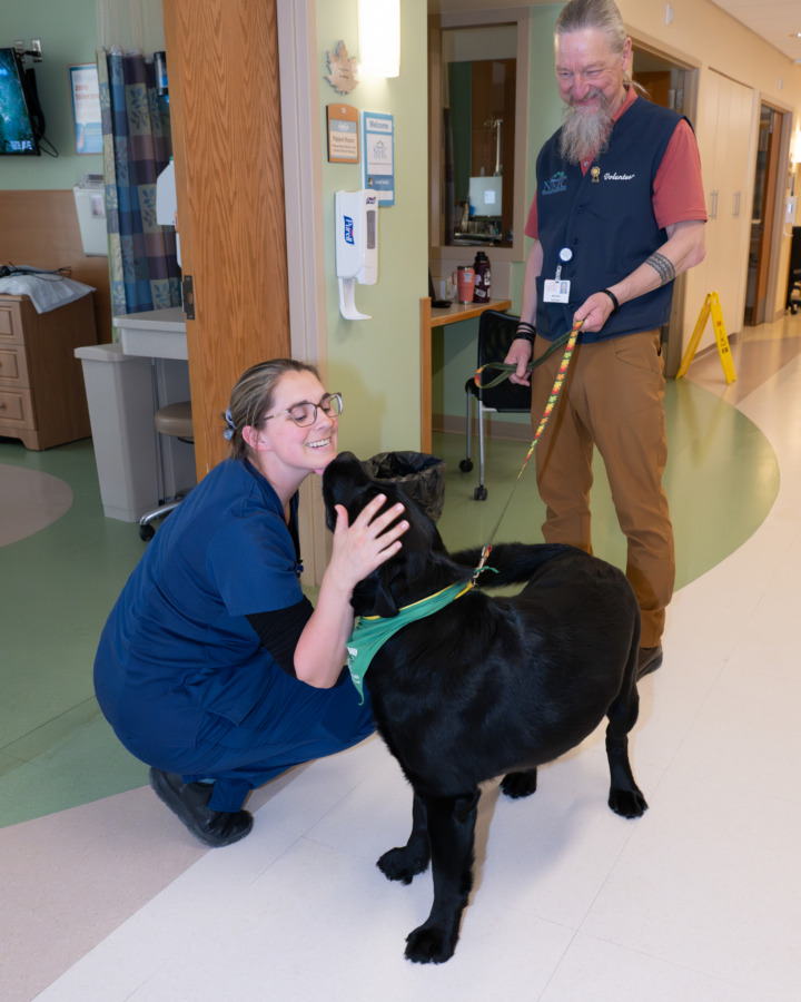 Staff interacting with black lab volunteer therapy animal and owner