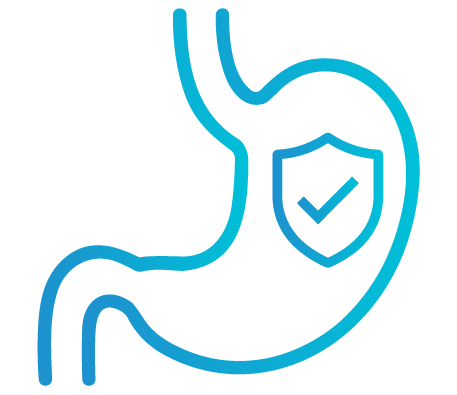 line drawn stomach organ with safe shield